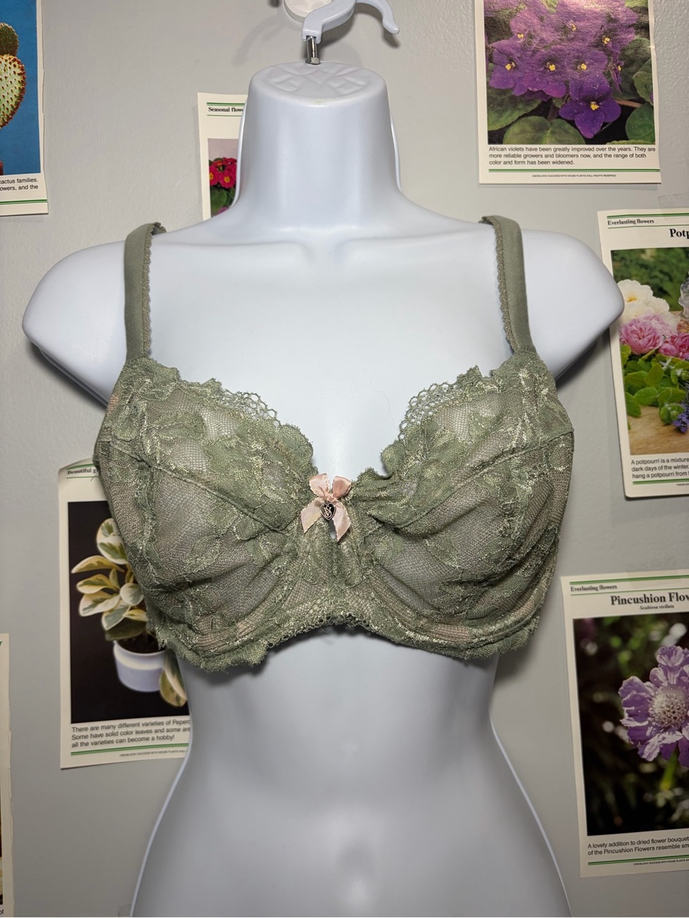 Victoria's Secret Olive Lace Underwire Bra with Pink Bow